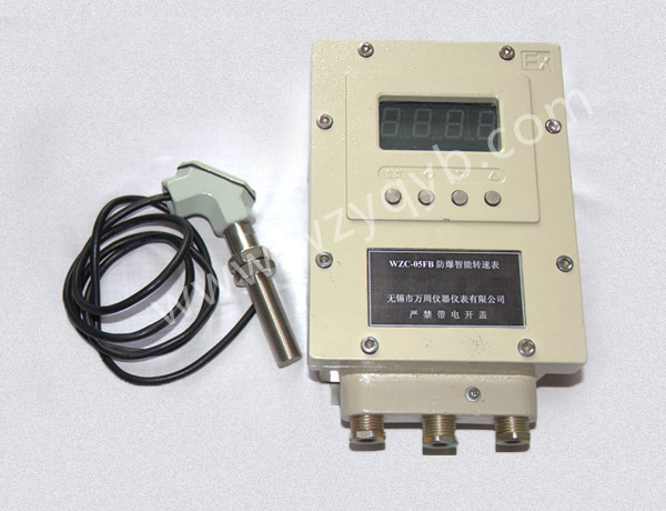 WZ-05防爆(bao)智能轉速表(biǎo)