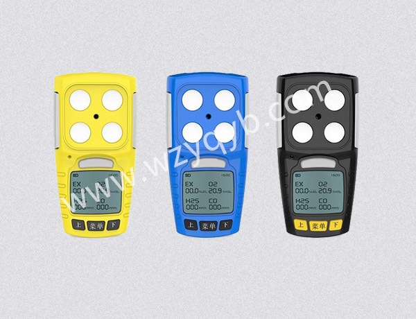 便攜式(shi)氣體檢測儀(yí)多組分