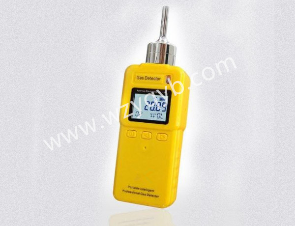 便攜式(shi)氣體檢測儀(yi)